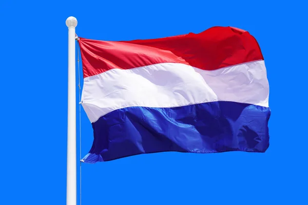 Netherlands flag waving against clean blue sky, close up. Netherlands flag in the blue sky. Flag Netherlands on blue sky background