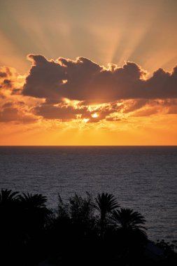 Bulutların arkasındaki güzel güneş sabahın erken saatlerinde Atlantik Okyanusu üzerinde ışıl ışıl yükselir ve gökyüzünü ve bulutları parlak turuncu renklerle boyar ve ön planda palmiye siluetleri ve dik duran parlak ışıklarla.