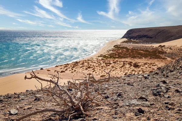 Uitzicht Wazig Brede Baai Achtergrond Canarische Eilanden Met Dode Houten — Stockfoto