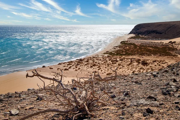 Kilátás Egy Széles Gyönyörű Fürdőhely Kanári Szigeten Fuerteventura Atlanti Óceánon — Stock Fotó