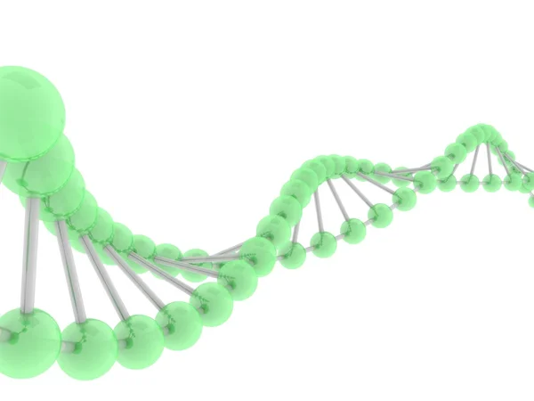Molecola di DNA verde. Superfici lucide e — Foto Stock