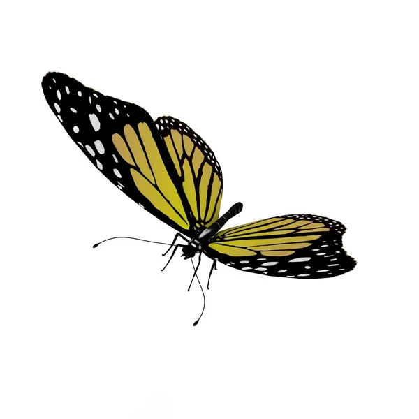 Mariposa amarilla —  Fotos de Stock
