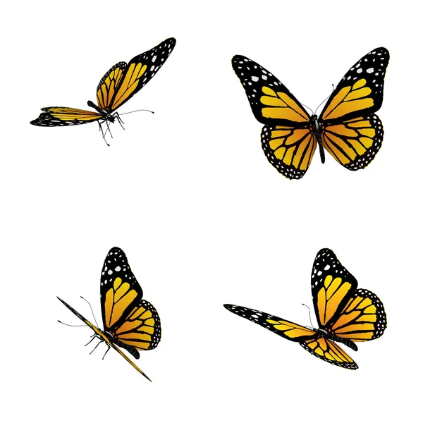 Conjunto de mariposas amarillas —  Fotos de Stock