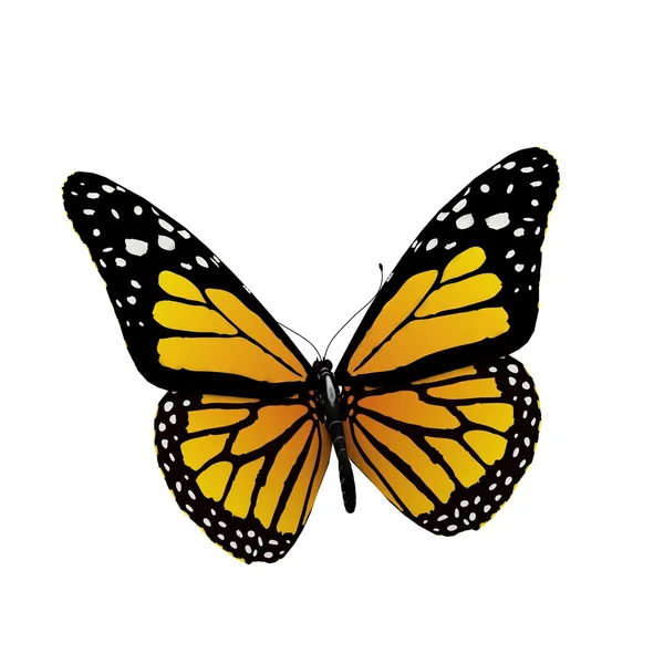Летающая бабочка, изолированная на белом — стоковое фото