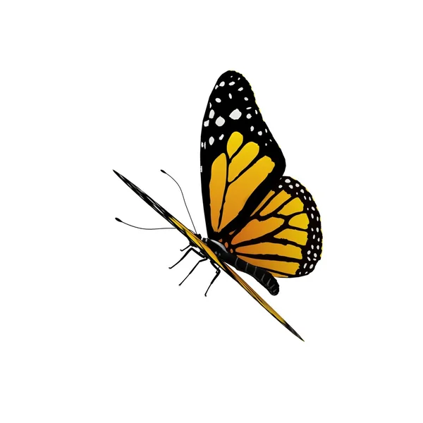 Fliegender Schmetterling isoliert auf weiß — Stockfoto