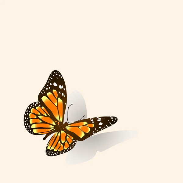 Vector mariposa . — Vector de stock