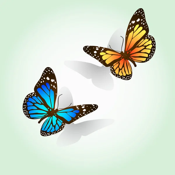 Farfalle vettoriali facilmente modificabili — Vettoriale Stock