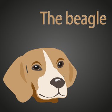 izole köpek kafası