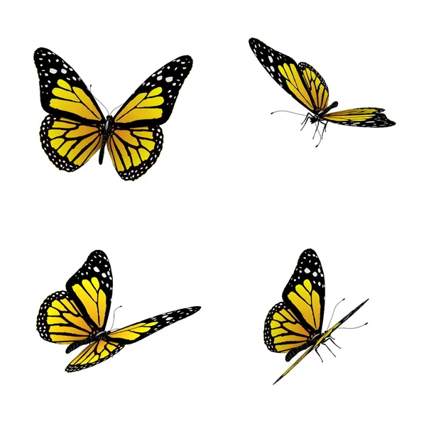 Mariposas amarillas —  Fotos de Stock