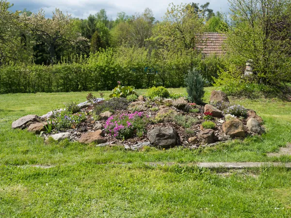 Vista no jardim da primavera com belo jardim de rocha em plena floração com rosa Phlox subulata, Armeria maritima, mar thrift, Bergenia ou elefantes orelhas, cravo e muitas outras flores coloridas florescendo . — Fotografia de Stock