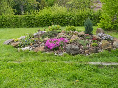 Pembe Phlox subulata, Armeria maritima, deniz turşusu, Bergenia ya da fil kulağı, karanfil ve daha bir sürü renkli çiçekle dolu bahar bahçesine bakın..