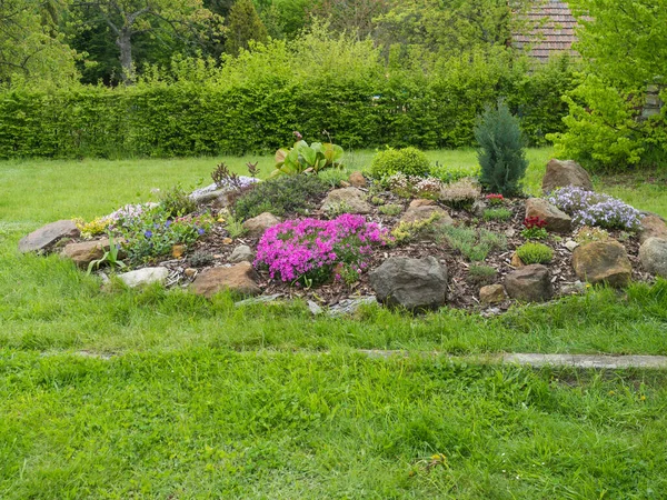 Вид на весенний сад с прекрасным скальным садом в полном расцвете с розовым Phlox subulata, Armeria maritima, морской бережливостью, бергенией или колосьями слонов, гвоздикой и многими другими цветущими цветками . — стоковое фото