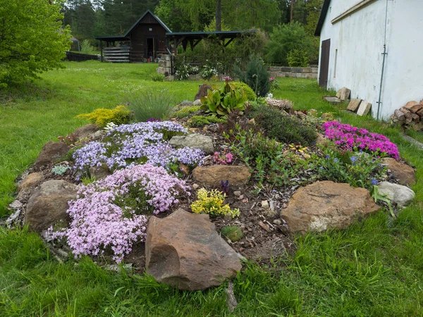 Uitzicht op de lentetuin met prachtige rotstuin in volle bloei met roze Phlox subulata, Armeria maritima, zeezucht, Bergenia of olifanten oren, anjer en vele andere kleurrijke bloeiende bloemen. — Stockfoto