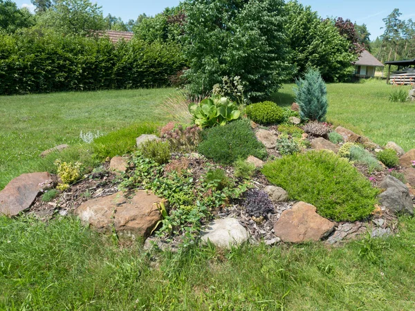 Uitzicht op de zomertuin met prachtige rotstuin met diverse alpine, rotsplanten, decoratief gras en naaldbomen en vele andere kleurrijke bloeiende bloemen op de achtergrond van bomen — Stockfoto