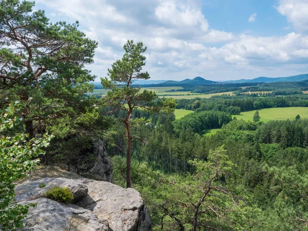 Vista panoramica dal punto di vista roccioso arenaria Havrani skaly, paesaggio primaverile nelle montagne lusaziane, verdi colline, fresca foresta di latifoglie e abeti rossi. Sfondo cielo blu, spazio di copia — Foto Stock