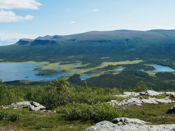 Kilátás kanyargó Rapadalen folyó delta a Lajtavrre-tó, völgy Sarek nemzeti park, Svédország Lappföld. Északi vad táj hegyekkel, hegyekkel, sziklákkal és nyírfákkal. Nyári napsütéses nap, kék ég — Stock Fotó