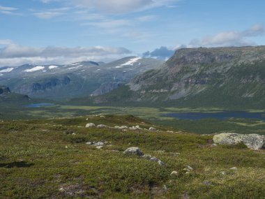 Rapadalen Nehri Deltası 'ndan Lajtavrre Gölü' ne, Sarek Ulusal Parkı 'ndaki vadiden İsveç Laponya' ya. Dağlar, tepe, kayalar ve huş ağaçlarıyla İskandinav vahşi manzarası. Yaz güneşli gün, mavi gökyüzü