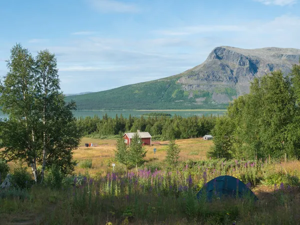 Camping de Aktse Fjallstuga STF cabaña de montaña con pequeña tienda de campaña, cabaña, plumas de willowherb rosa, lago Laitaure, colinas verdes y abedules de abeto bosque. Sendero de senderismo Kungsleden, Suecia Laponia — Foto de Stock