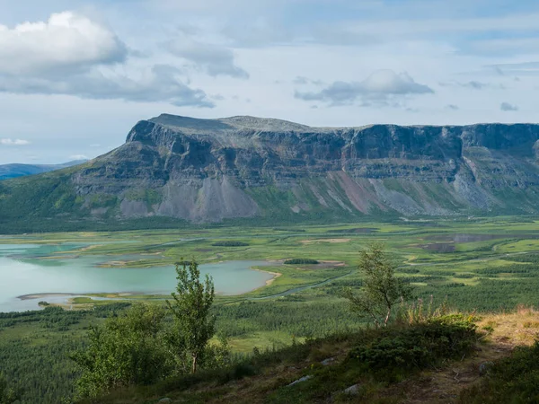 Вид на звивисту льодовикову долину річки Рападален в національному парку Сарек, Швеція Лапландія з скелями, горами і березами. Літній день, білі хмари — стокове фото