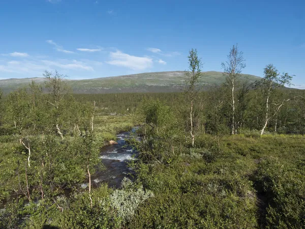 Piękny północny krajobraz arktyczny w szwedzkiej Laponii ze strumieniem potoku, lasem brzozowym i zielonymi górami na szlaku turystycznym Padjelantaleden. Letni słoneczny dzień, błękitne niebo — Zdjęcie stockowe