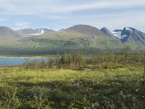 Bříza na břehu jezera Akkajaure s Akkou, horský masiv Ahkka se sněhem a ledovcem. Krásná severní umělecká krajina ve vesnici Anonjalmme saami ve švédském Laponsku. Letní večer — Stock fotografie