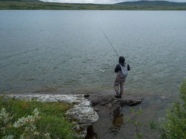 Hombre pescador pescador en la pesca con mosca lago y pescado de trucha o carbón capturado en el lago Gieddavrre en Suecia Laponia en Padjelantaleden sendero de senderismo. —  Fotos de Stock