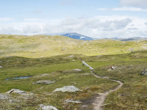 Voetpad in het noordelijke artische landschap, toendra in Zweeds Lapland met groene heuvels en bergen op Padjelantaleden wandelpad. Zomer dag, blauwe lucht, witte wolken — Stockfoto