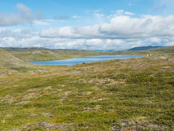 Beau paysage arctique du nord, toundra en Laponie suédoise avec lac bleu Duottar, collines verdoyantes et montagnes au sentier de randonnée Padjelantaleden. Jour d'été, ciel bleu, nuages blancs — Photo