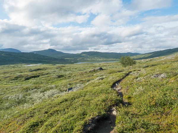 Wanderweg in der nördlichen arktischen Landschaft, Tundra in Schwedisch Lappland mit grünen Hügeln, Bergen und See am Padjelantaleden-Wanderweg. Sommertag, blauer Himmel, weiße Wolken — Stockfoto