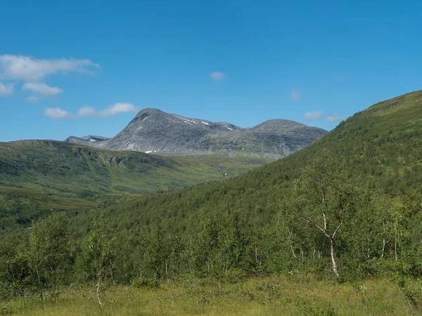 Prachtig noordelijk landschap, toendra in Zweeds Lapland met groene heuvels en bergen en berkenbos op de Padjelantaleden wandelweg. Zomer dag, blauwe lucht, witte wolken — Stockfoto