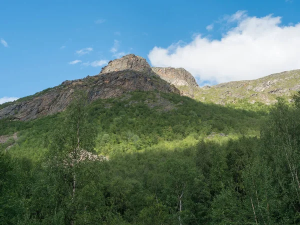 Prachtig noordelijk landschap, toendra in Zweeds Lapland met groene heuvels en bergen en berkenbos op de Padjelantaleden wandelweg. Zomer dag, blauwe lucht, witte wolken — Stockfoto