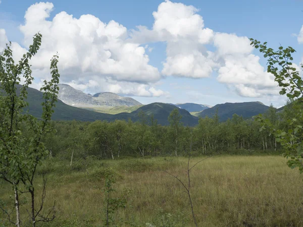 아름다운 북쪽 풍경, 스웨덴 라플란드의 툰드라 지대, 녹색 언덕 과 산, 파드 젤란 탈레덴 (Padjelantaleden) 등산로에 자작나무 숲. 여름날푸른 하늘흰 구름 — 스톡 사진
