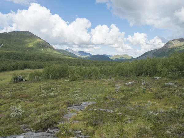 Beau paysage nordique paysage artique, toundra en Laponie suédoise avec collines verdoyantes et montagnes et forêt de bouleaux au sentier de randonnée Padjelantaleden. Jour d'été, ciel bleu, nuages blancs — Photo