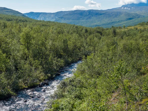 Paisagem setentrional na Lapônia Sueca com riacho azul rápido de riacho, colinas verdes e floresta de bétulas na trilha de caminhadas Padjelantaleden. Dia de verão — Fotografia de Stock