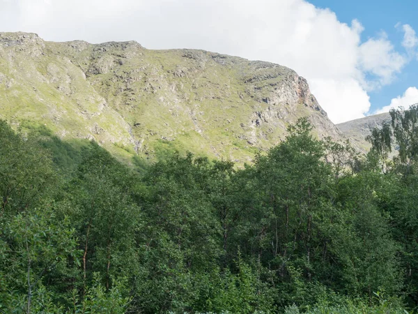 Hermoso paisaje ártico del norte, tundra en Laponia sueca con verdes colinas y montañas y bosque de abedules en la ruta de senderismo Padjelantaleden. Día de verano, cielo azul, nubes blancas —  Fotos de Stock