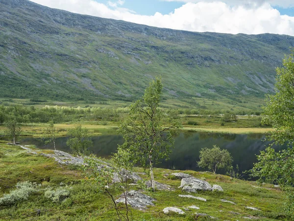 Krásná severní umělecká krajina, tundra ve švédském Laponsku s tmavou jezerní vodou, zelené kopce a hory a břízy na Padjelantaleden turistické stezky. Letní den, modrá obloha, bílé mraky — Stock fotografie