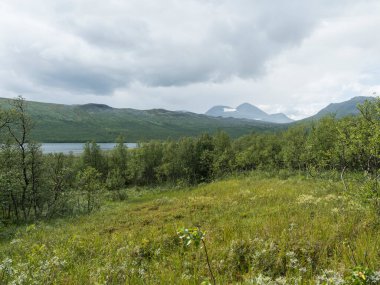 Güzel kuzey manzarası, İsveç Laponya 'da tundra mavi arktik nehri, yeşil tepeler ve Padjelantaleden yürüyüş patikasındaki dağlar. Yaz bulutlu günü