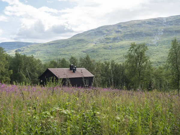 View of STF Tarrekaise Mountain cabin on a flowering meadow on the banks of the Tarra river, at Padjelantaleden hiking trail. Lapland summer landscape — ストック写真