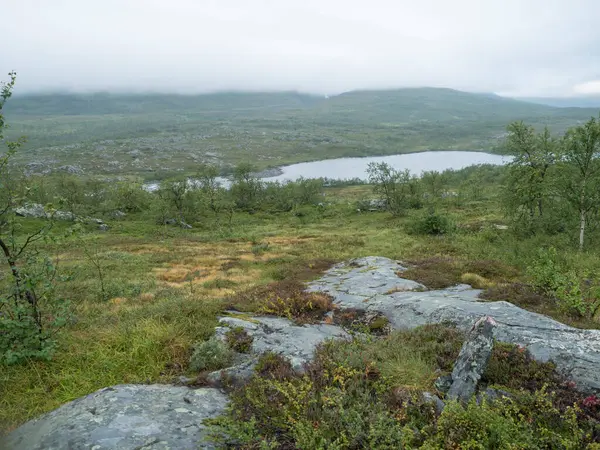 Northern landscape in Swedish Lapland with granite rock, birch bush, green hills and Tarra river at Padjelantaleden hiking trail. Moody, rainy day, cloudy sky, summer. — Foto de Stock