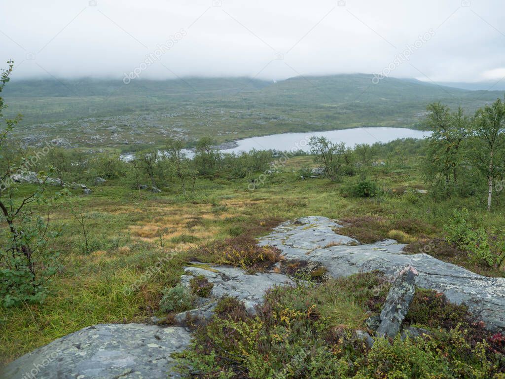 henkeova