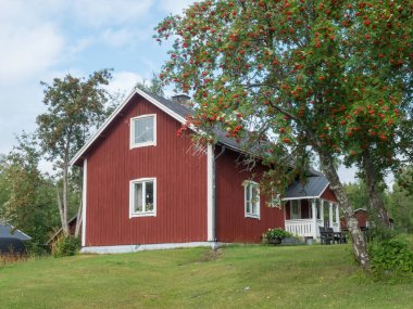 Kvikkokk 'taki geleneksel kırmızı ahşap ev verandalı ve rowen ağacı olgun Rowenberry' li. Kuzey İsveç Laponya, yaz mevsimi. Kungsleden yolu köyden geçiyor.