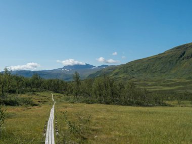 Kuzey kutup bölgesinde ördek yolu, İsveç Laponya 'da tundra yeşil tepeler, dağlar ve Padjelantaleden yürüyüş patikasında huş ağaçları. Yaz günü, mavi gökyüzü, beyaz bulutlar.
