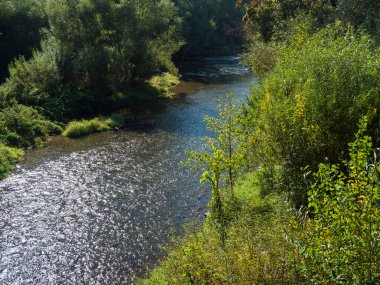 view on river Sazava near Cercany with lush green tree and bushes, central Bohemian region on summer sunny day, blue sky.