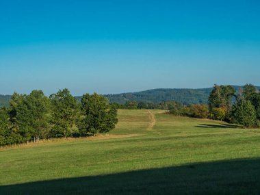 Late summer green meadow with tree and forest and clear blue sky, natural background.