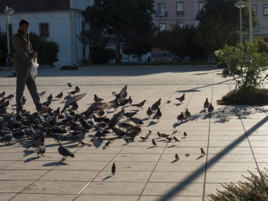 Lisbon, Portugal, October 24, 2021: Young indian man feeding pigeons at Martim Moniz square at Lisbon.