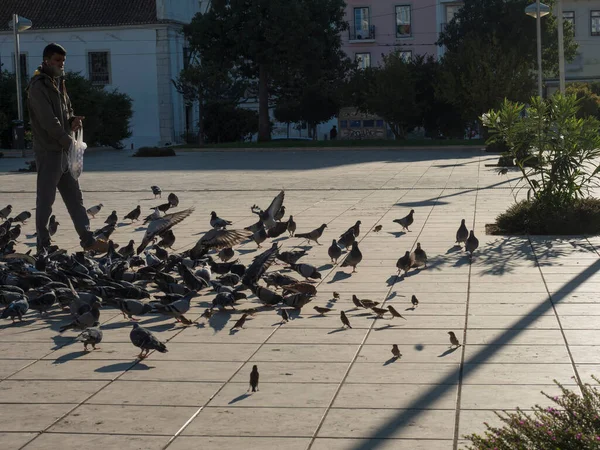 Lisbon, Portugal, October 24, 2021: Young indian man feeding pigeons at Martim Moniz square at Lisbon.