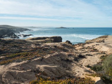 Carpobrotus Edulis 'in kırmızı ve yeşil yapraklı kayalık deniz kıyılarının manzarası Porto Covo, Portekiz' deki vahşi Vicentina sahillerinde sürünen sulu bitkiler.