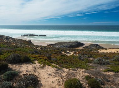 Portekiz, Porto Covo yakınlarındaki Rota Vicentina sahilinde okyanus dalgaları ve keskin kaya ve yeşil bitki örtüsüyle Praia dos Aivados kumsal manzarası