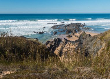Portekiz, Vila Nova de Milfontes yakınlarındaki Rota Vicentina sahilinde okyanus dalgaları, taş, ıslak altın kum ve yeşil bitki örtüsü ile boş Praia da Angra das Melancias plajı manzarası