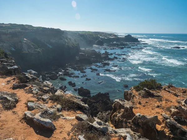 View of wild Rota Vicentina coast with ocean waves, sharp rock and green and red leaves of sour fig flower, Carpobrotus edulis near Vila Nova de Milfontes, Portugal. Sunny day, blue sky